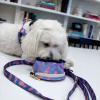 boulevard+pets+lassie+large+travel+bowl+personalized