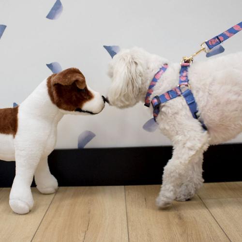 Persoanlized Boulevard Dog Harness in Preppy Prints  Animals & Pet Supplies > Pet Supplies > Dog Supplies > Dog Collars & Harnesses